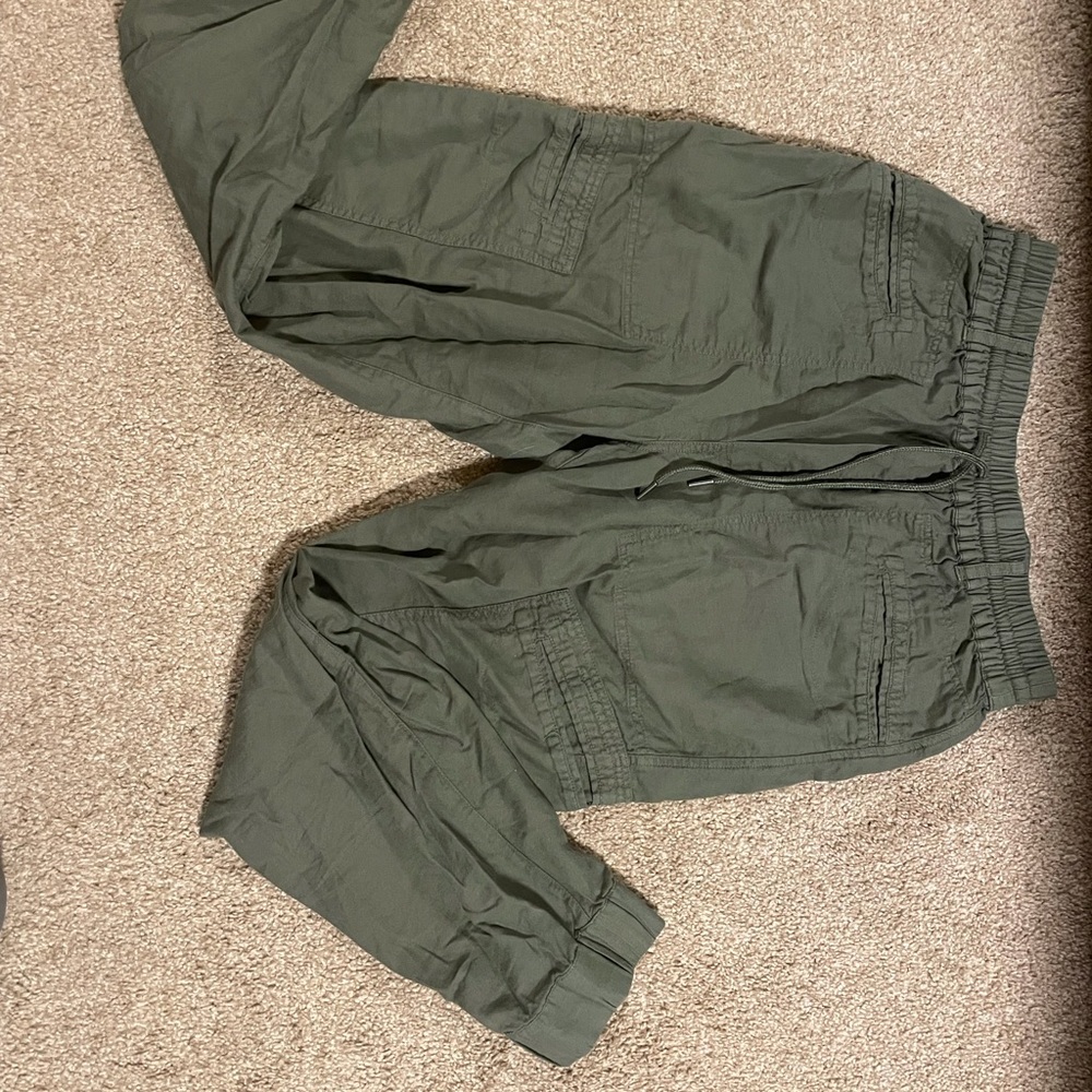 ARITZIA COMMUNITY JOGGERS